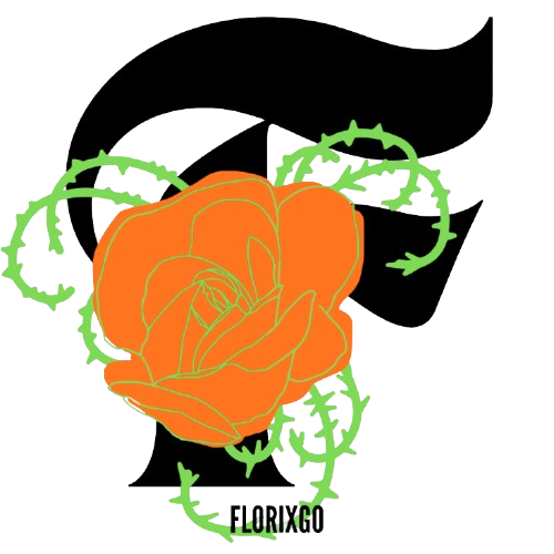 FLORIXGO.COM